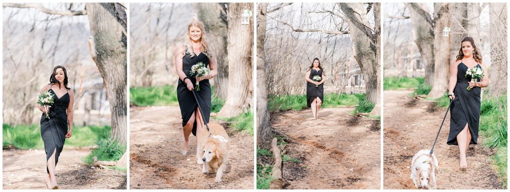 Bridesmaids walking couples dogs down the aisle