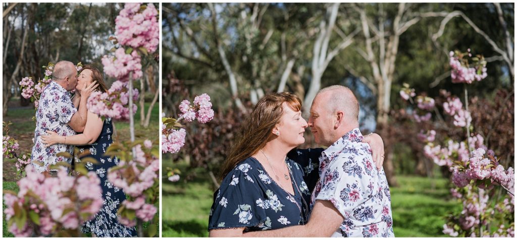 Couple photos with cherry blossoms in Canberra