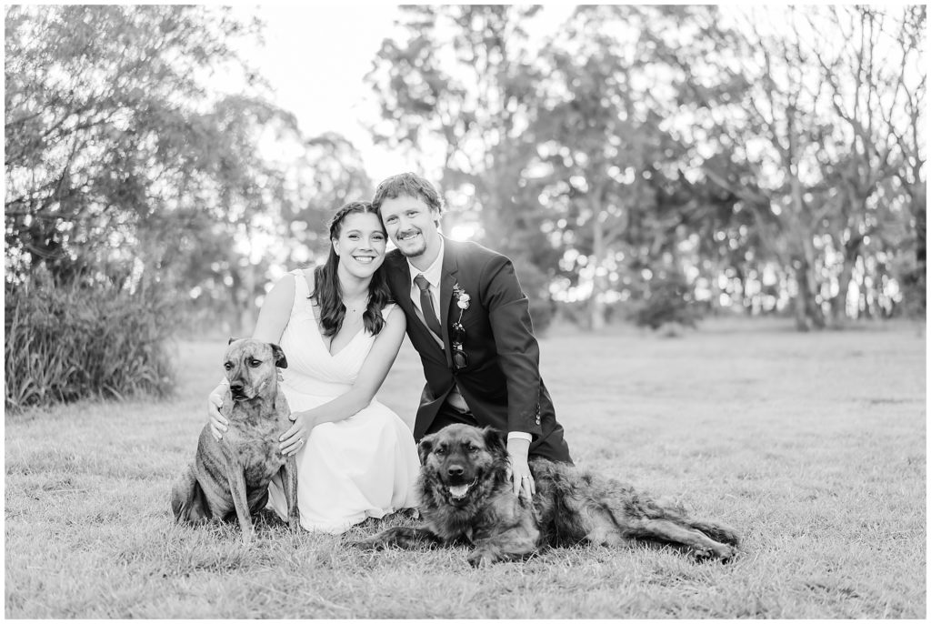 Bride and groom with dogs | Destinations Wedding photography packages