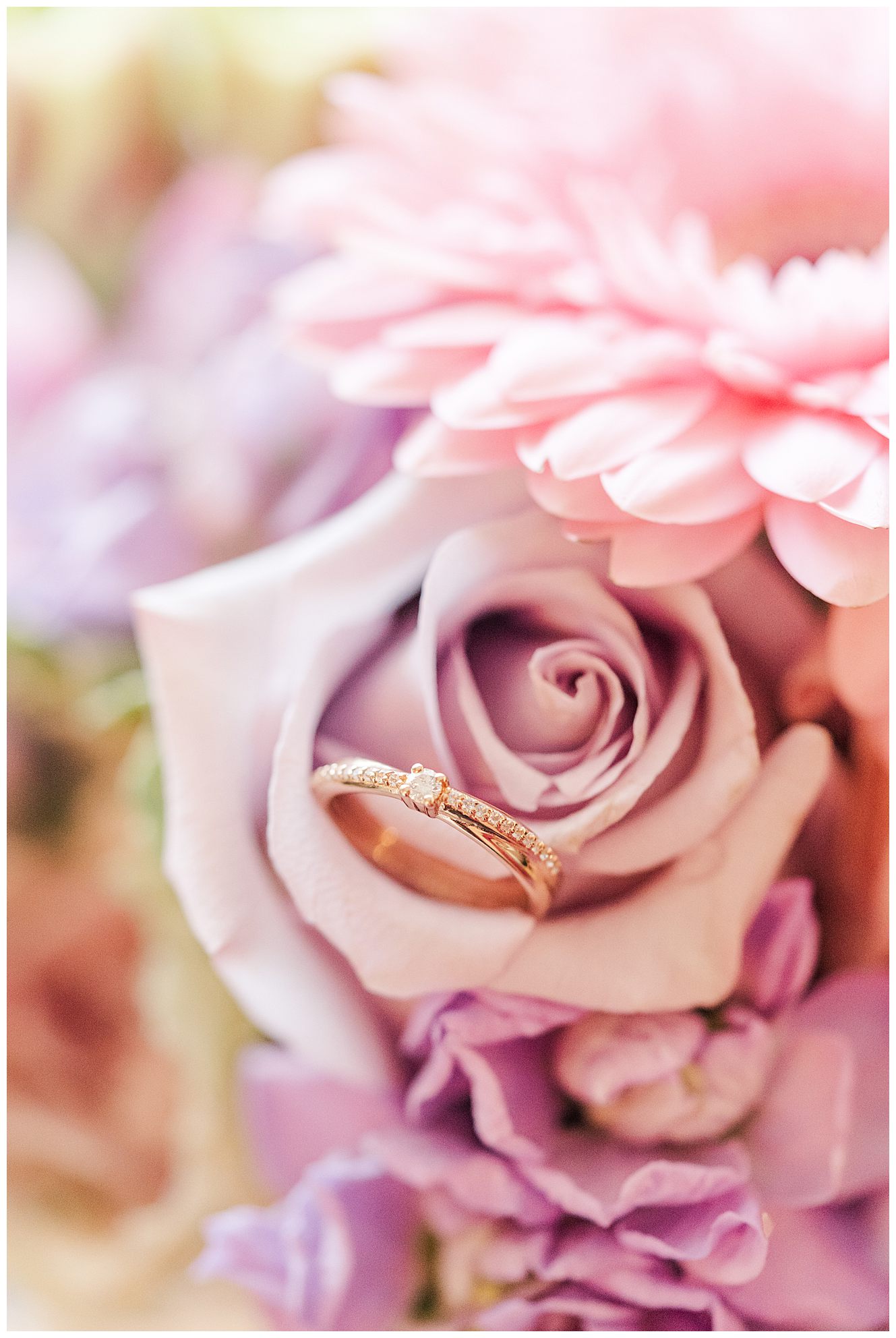 Wedding ring in a rose